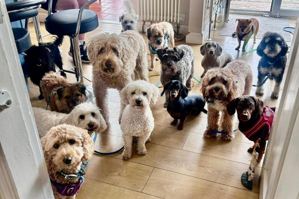 WhatsApp Image 2026-03-30 at 1.09.20 PM (1)