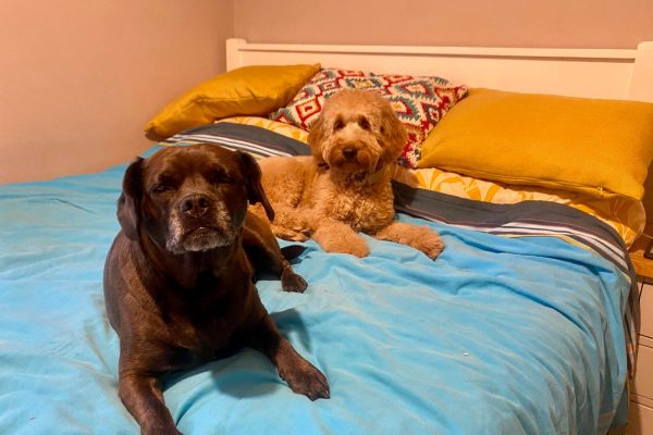 WhatsApp Image 2026-04-09 at 11.49.02 AM (1)