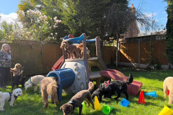 WhatsApp Image 2026-04-09 at 9.21.26 PM